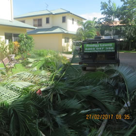 Golden Cane Tree Problems are No More - Body Corporate Tenants are Happy Again!!
