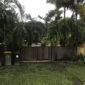 Prodigy Lawns, Tree and Palm Removal has just cut down and removed a problem tree from Palm Cove Queensland. Photo 9